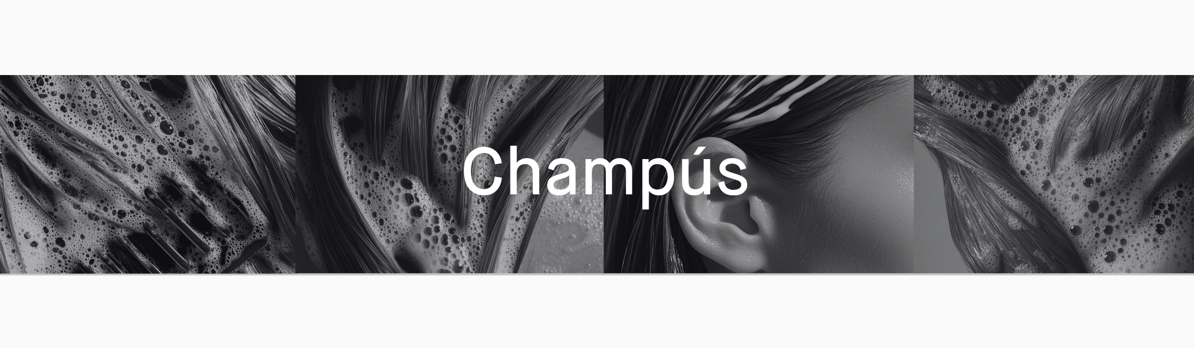 Champú
