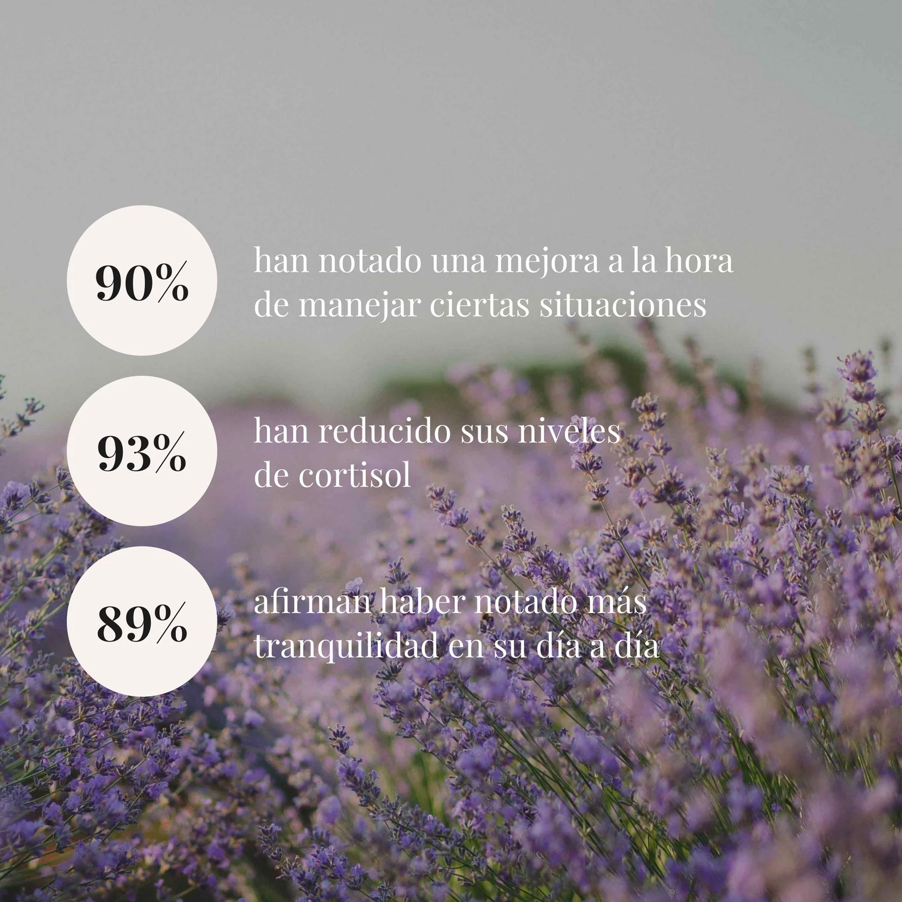 (http://d7rh5s3nxmpy4.cloudfront.net/CMP11143/CLO0003-000-000-7.webp)