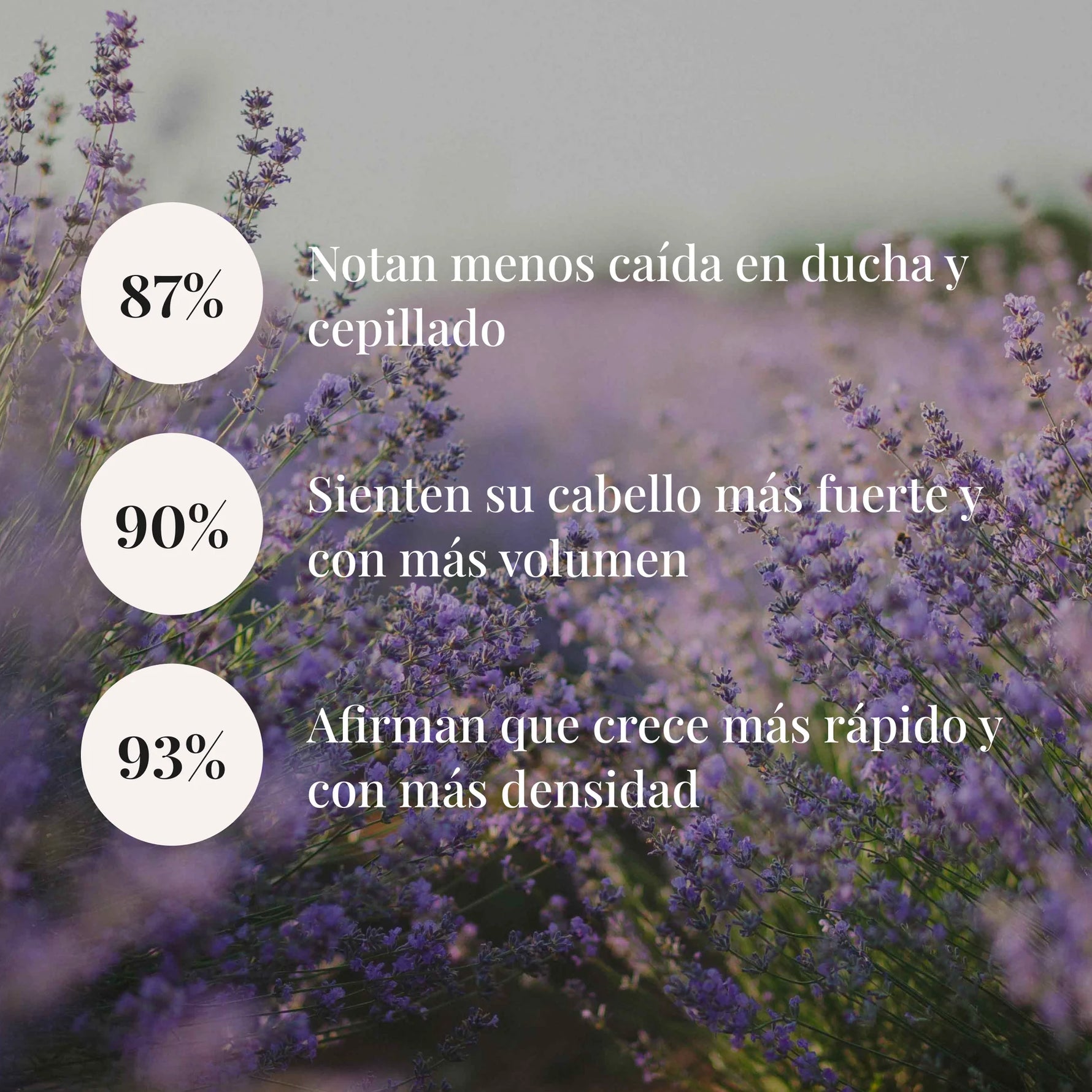(http://d7rh5s3nxmpy4.cloudfront.net/CMP11143/CLO0030-000-000-6.webp)