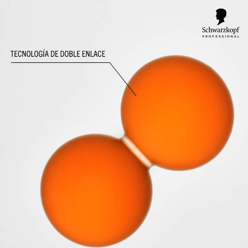 (http://d7rh5s3nxmpy4.cloudfront.net/CMP11143/SCH0398-000-250-4.PNG)