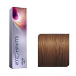 (http://d7rh5s3nxmpy4.cloudfront.net/CMP11143/WPR0557-005-060-1.png)